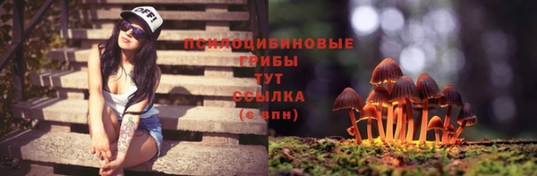 мет Богородицк